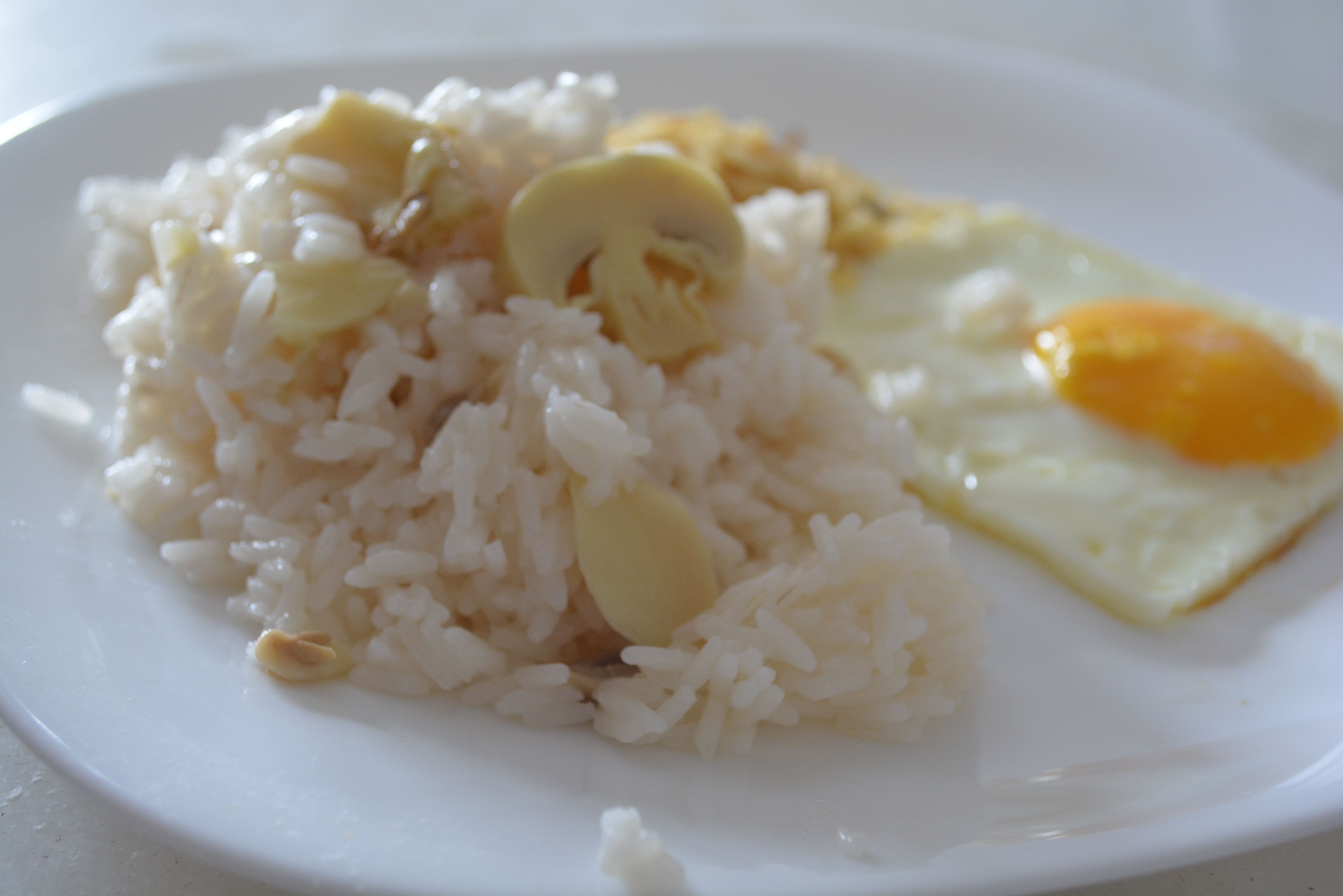 Arroz com vinho branco no micro-ondas