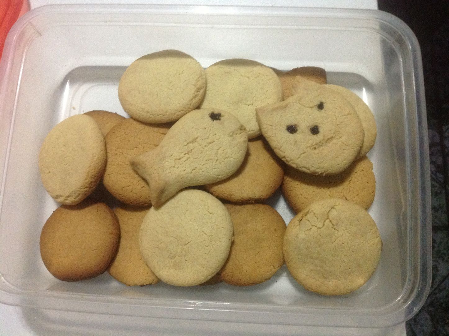 Biscoito delicioso de leite em pó