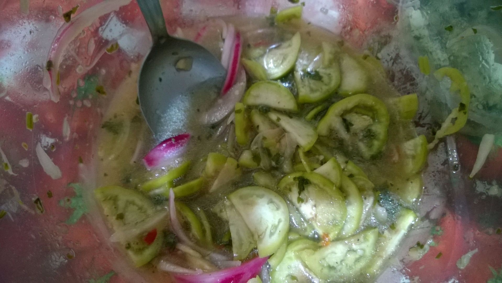 Ceviche de jiló da tia Su