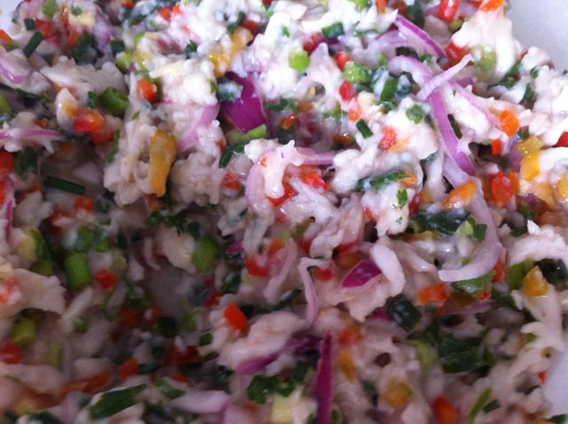 Ceviche (Peixe Cru)