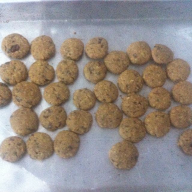 Cookies light de aveia com chocolate