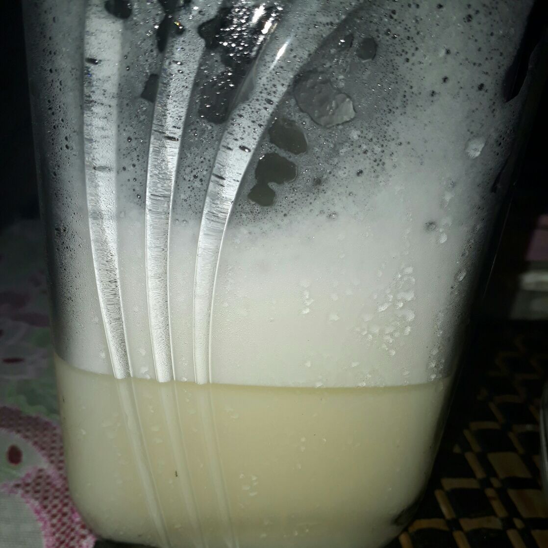 Leite fermentado (kefir)