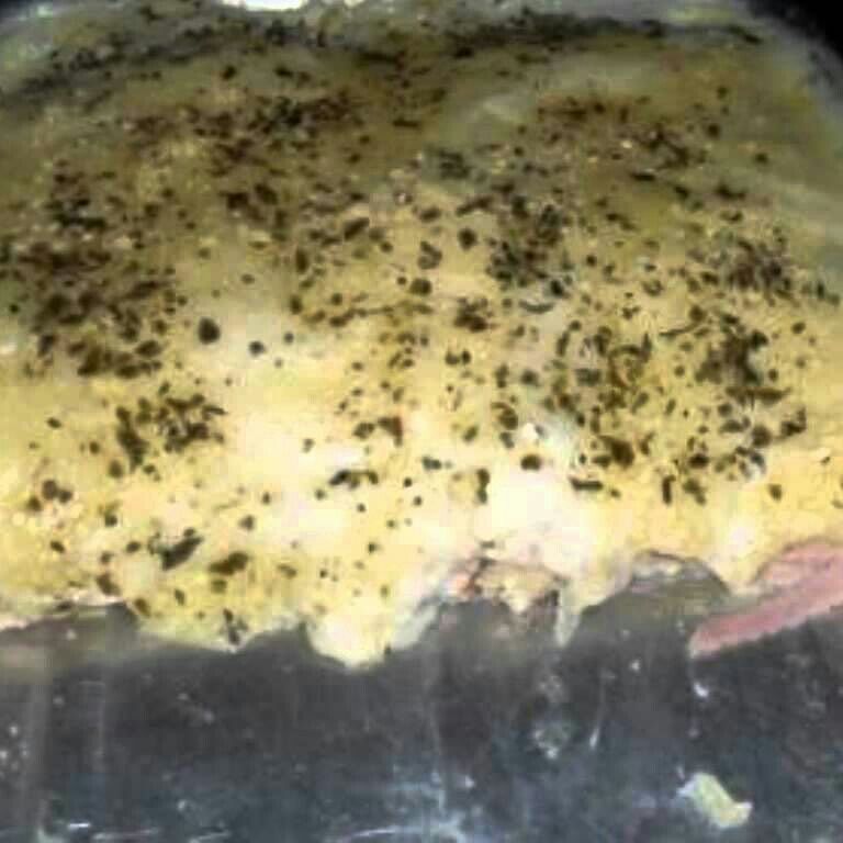 Misto quente gratinado