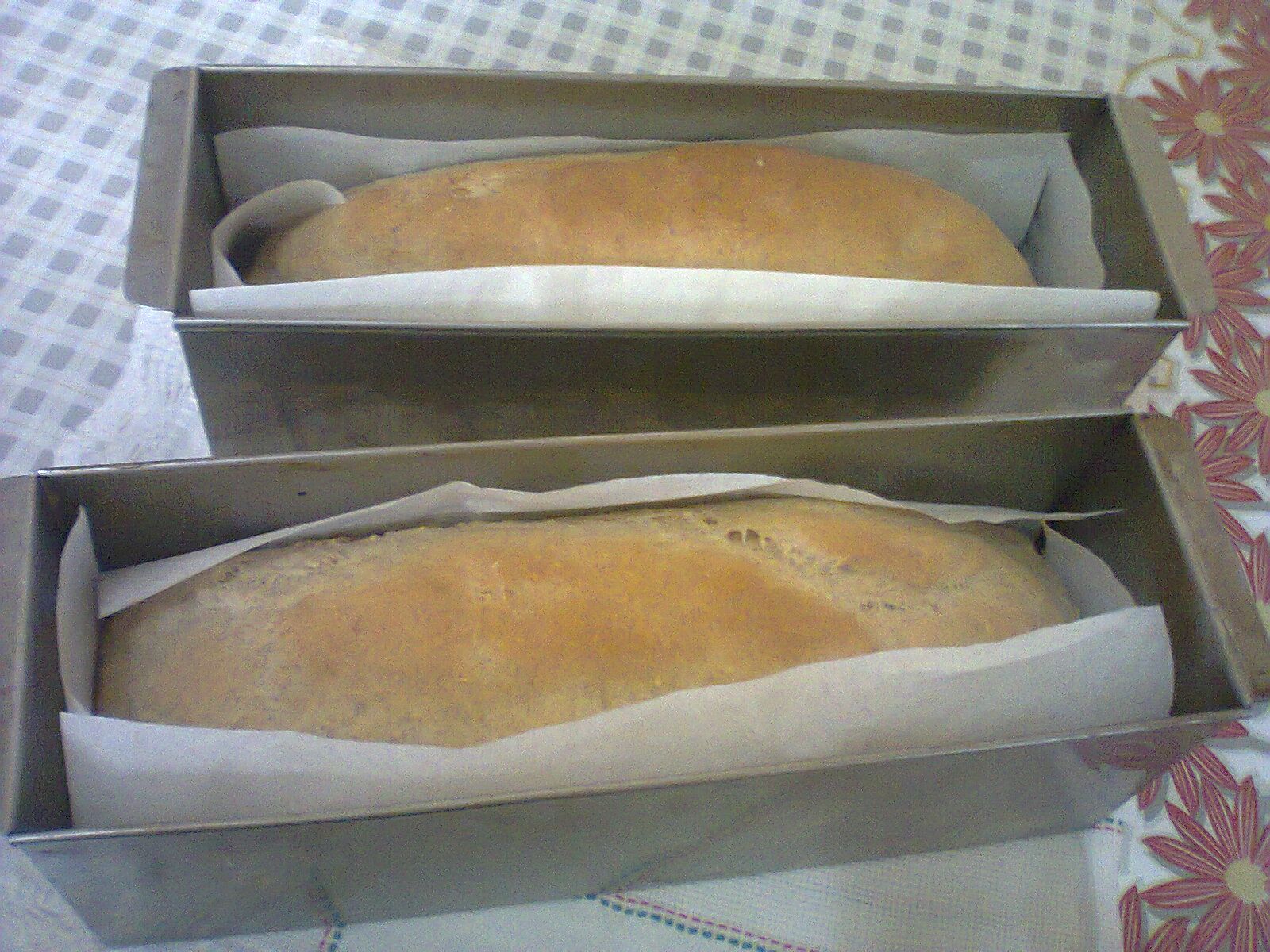 Pão baguete enriquecido com fibras