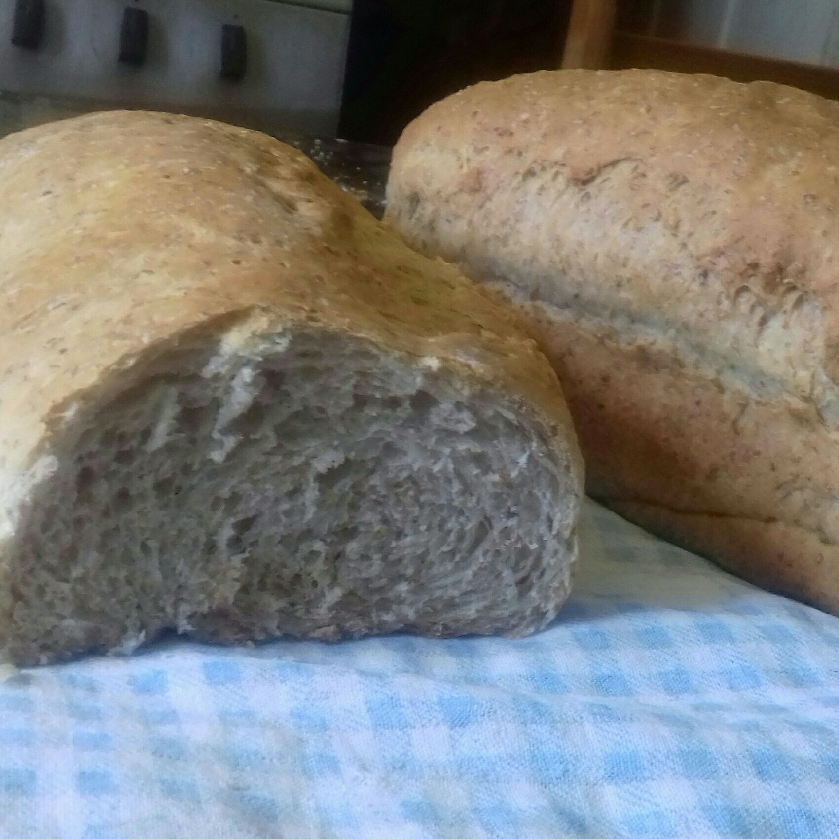 Pão semi integral