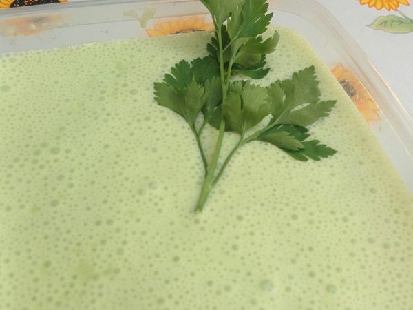 Pasta de Alho para churrasco e salada