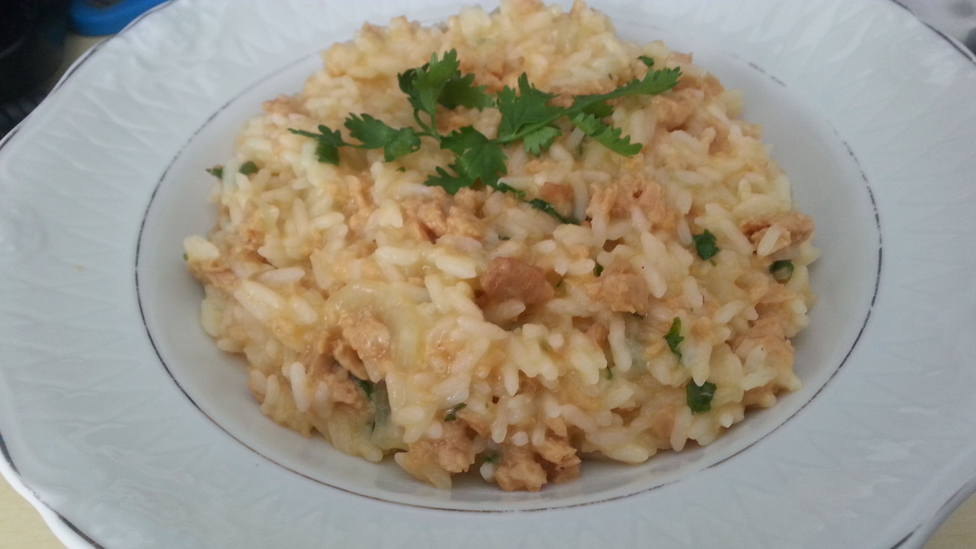 Risoto de carne de soja