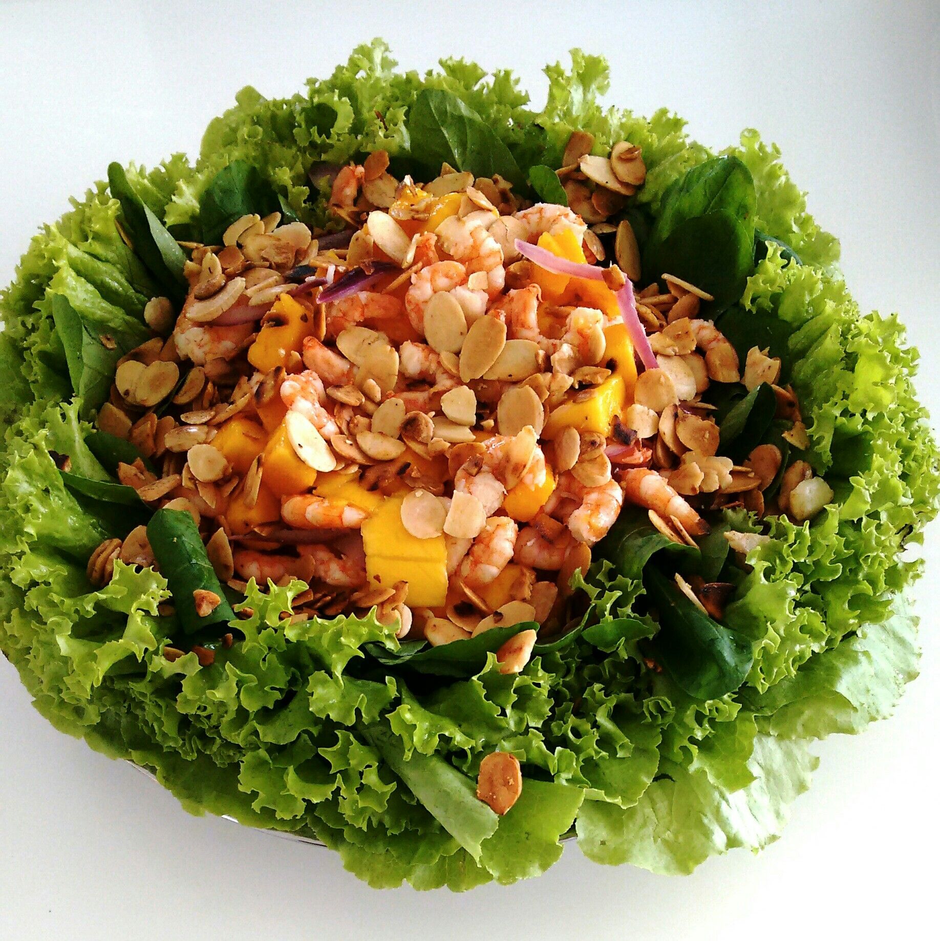 Salada de rúcula com manga e camarão