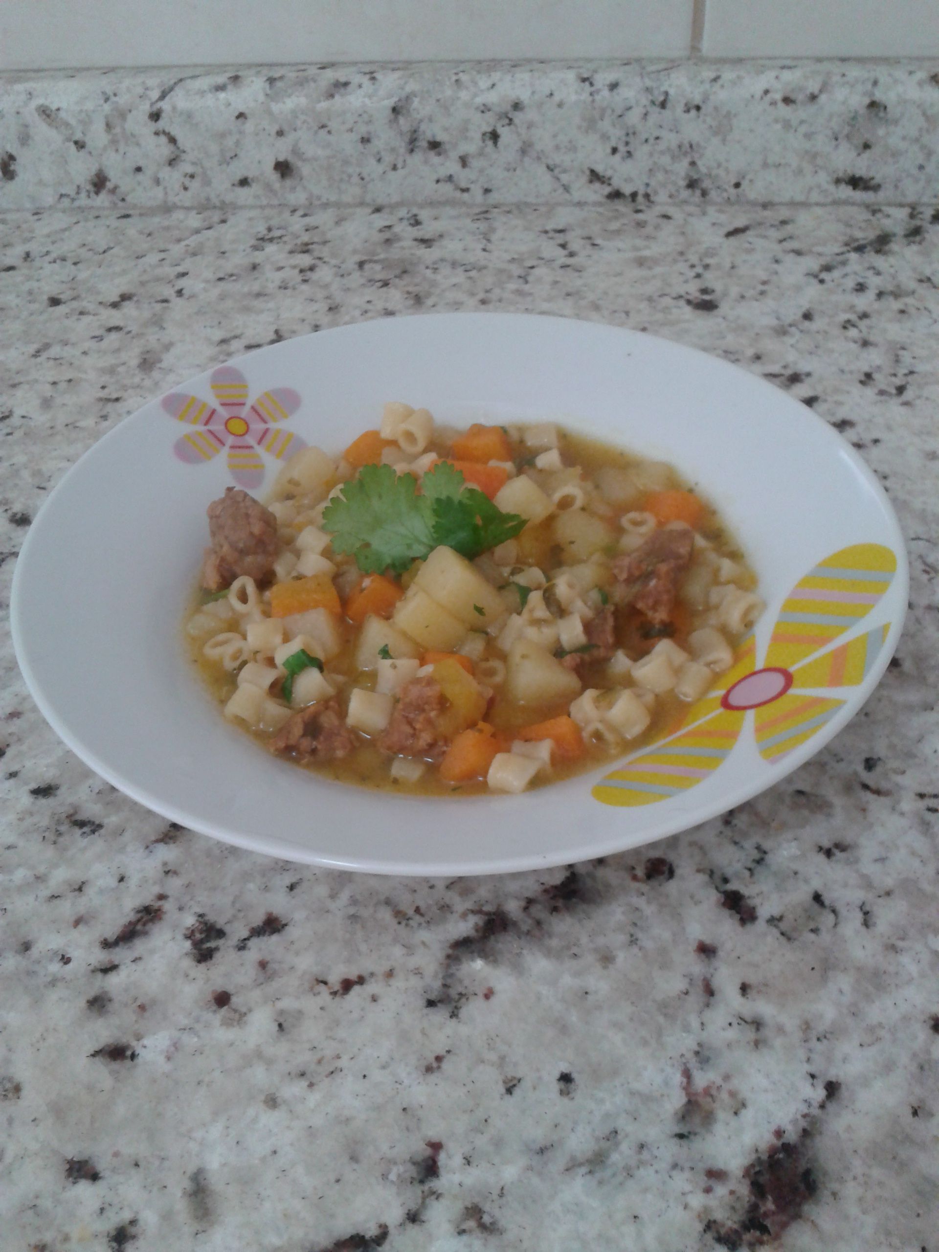 Sopa de macarrão, legumes e carne