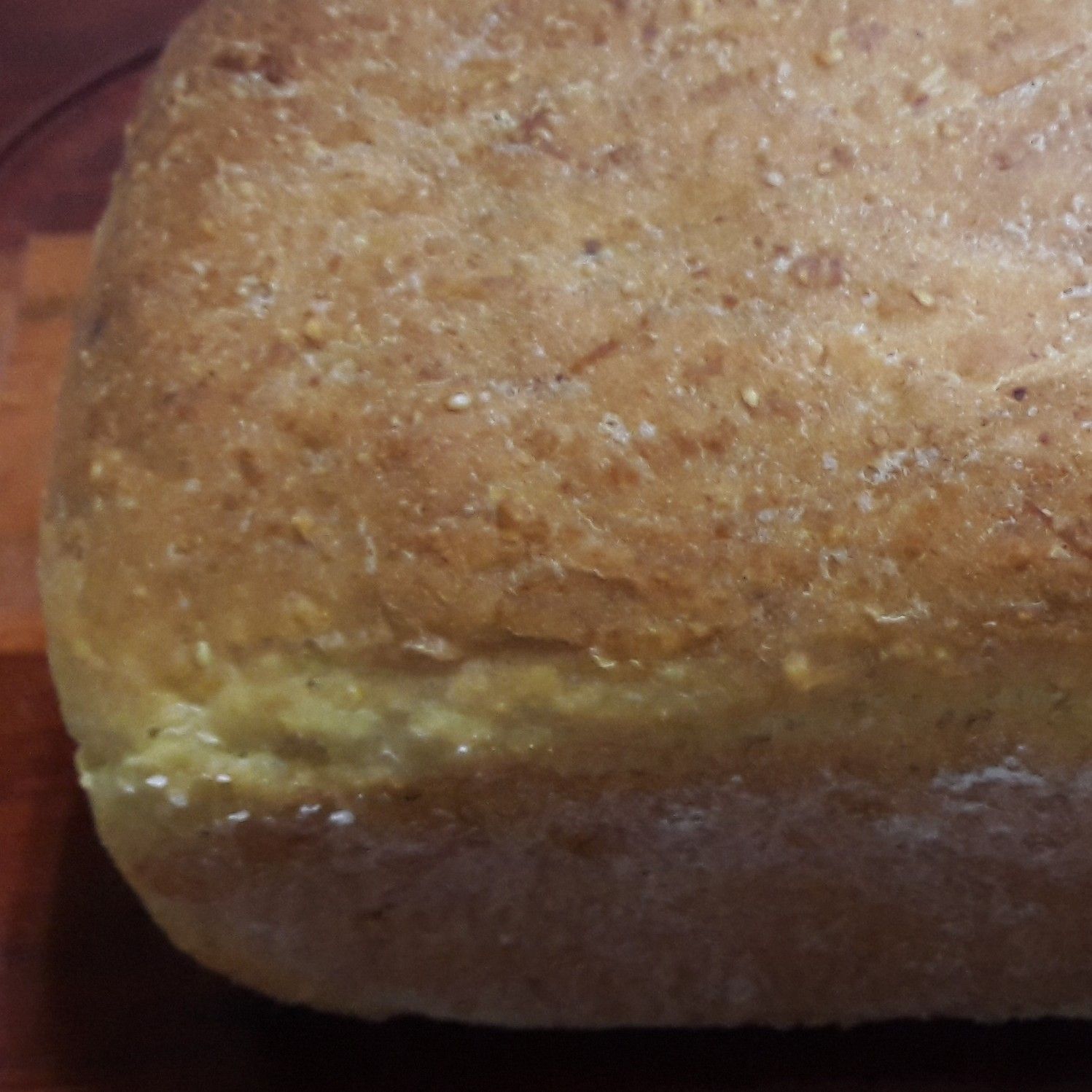 Pão de milho com aveia